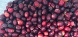 Organic Costa Rica La Amistad