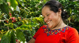 Organic Guatemala Huehuetenango ASOBAGRI Fair Trade