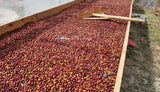 Organic Honduras COMSA "Manos de Mujer" Natural Fair Trade