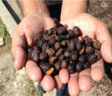 Organic Honduras COMSA "Manos de Mujer" Natural Fair Trade