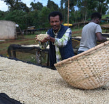 Organic Ethiopia Natural Yirgacheffe Gelana Abaya