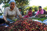El Salvador Finca Hungria Fair Trade Organic